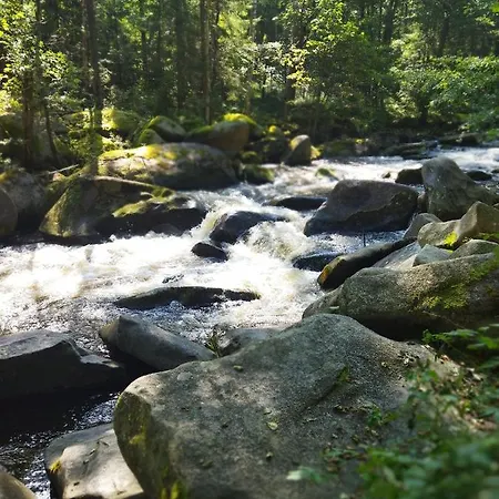 Apartman U Sedu Lipno nad Vltavou