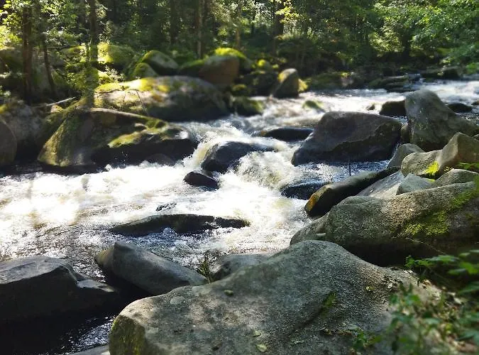 Daire U Sedu Lipno nad Vltavou